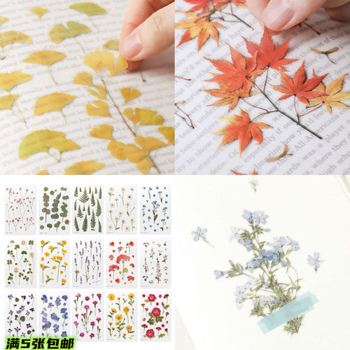 appree韩国文具创意植物日记本