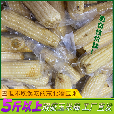 瑕疵白糯玉米】东北鲜食糯玉米真空包装5斤蒸煮玉米棒香甜糯包邮
