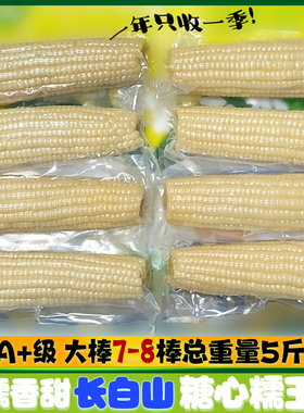 长白山糖心糯玉米通化熟白黏玉米棒精品7-8大棒东北鲜食真空2580g