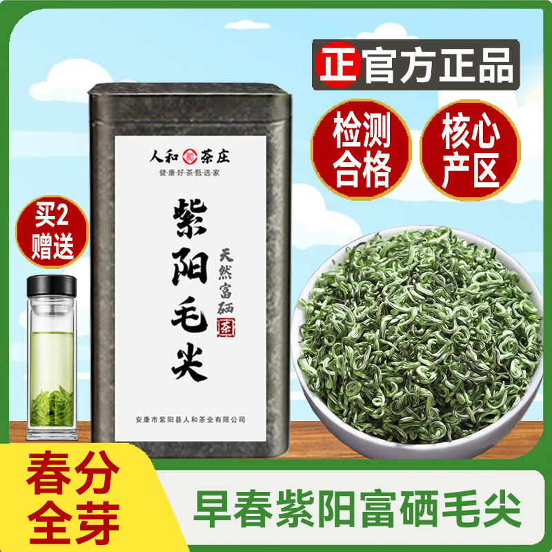 专治嘴刁紫阳富硒茶正品毛尖茶