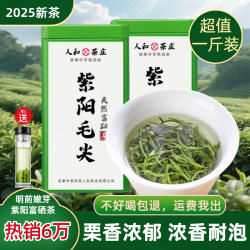 安康富硒茶2025新茶紫阳富硒茶明前特级紫阳毛尖陕西安康绿茶500g