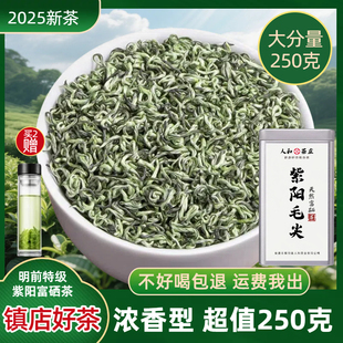 2025新茶紫阳毛尖250g陕西安康紫阳茶明前板栗香嫩芽散装 绿茶