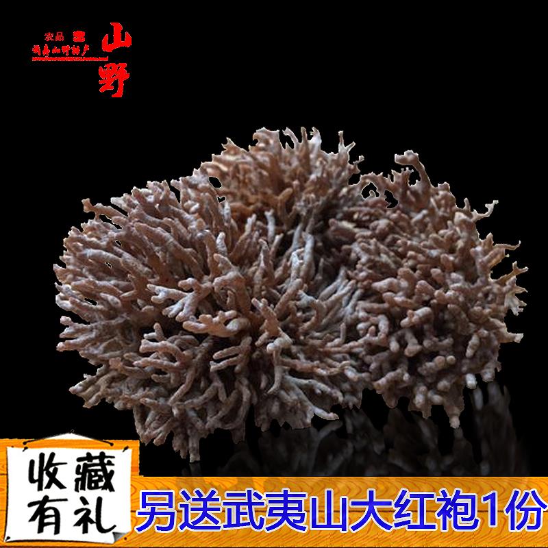武夷山自产猫爪菇龙爪菇生鲜1000g装