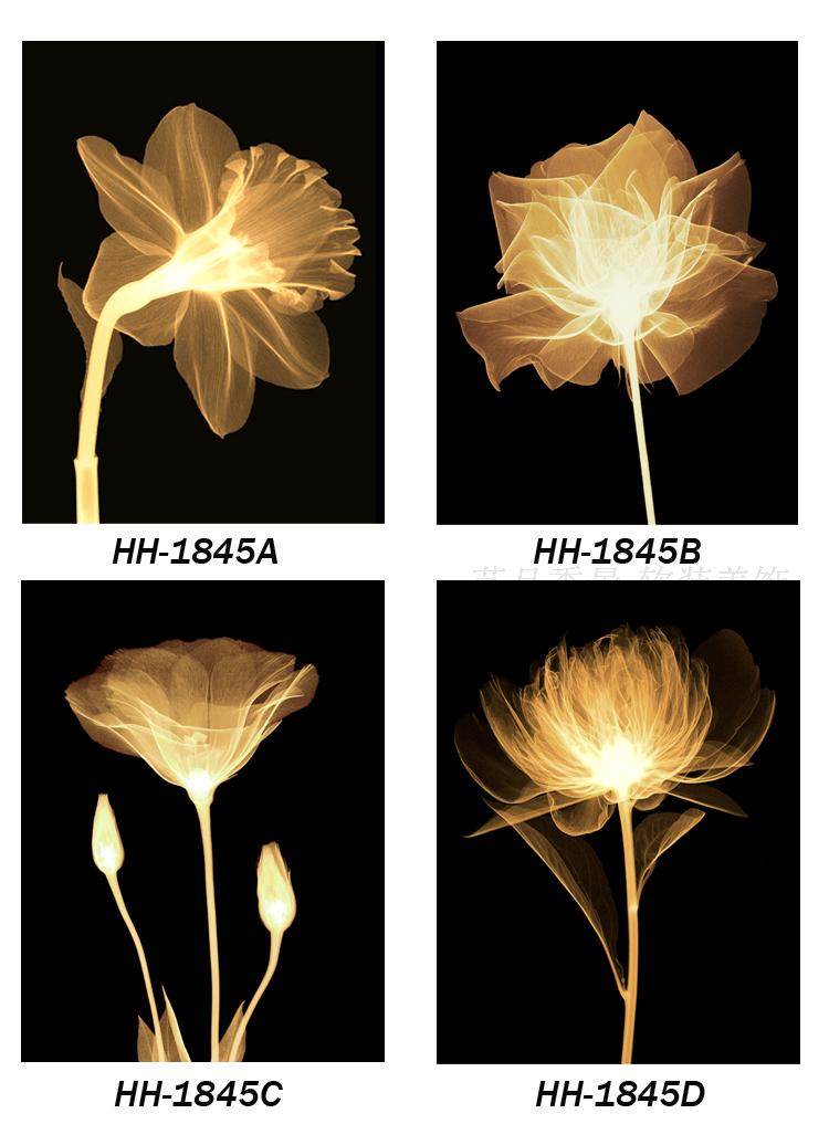 金色花卉装饰画画心唯美舞动花朵装饰画画心微喷画布黑底画芯