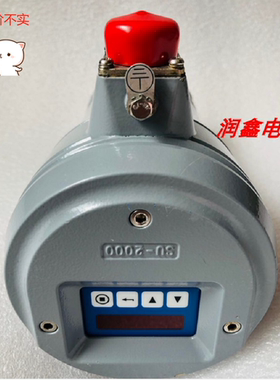 Safefire SU-2002IR火检探头放大检测器Safe-Fire新无盒【询价】