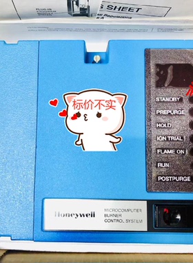 honeywell BC7000L1000 2霍尼韦尔燃烧控制器全新 【询价】LY4