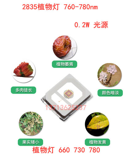 ed植物生长灯珠2835灯珠2835红光760nm植物灯红光灯珠 特殊光源