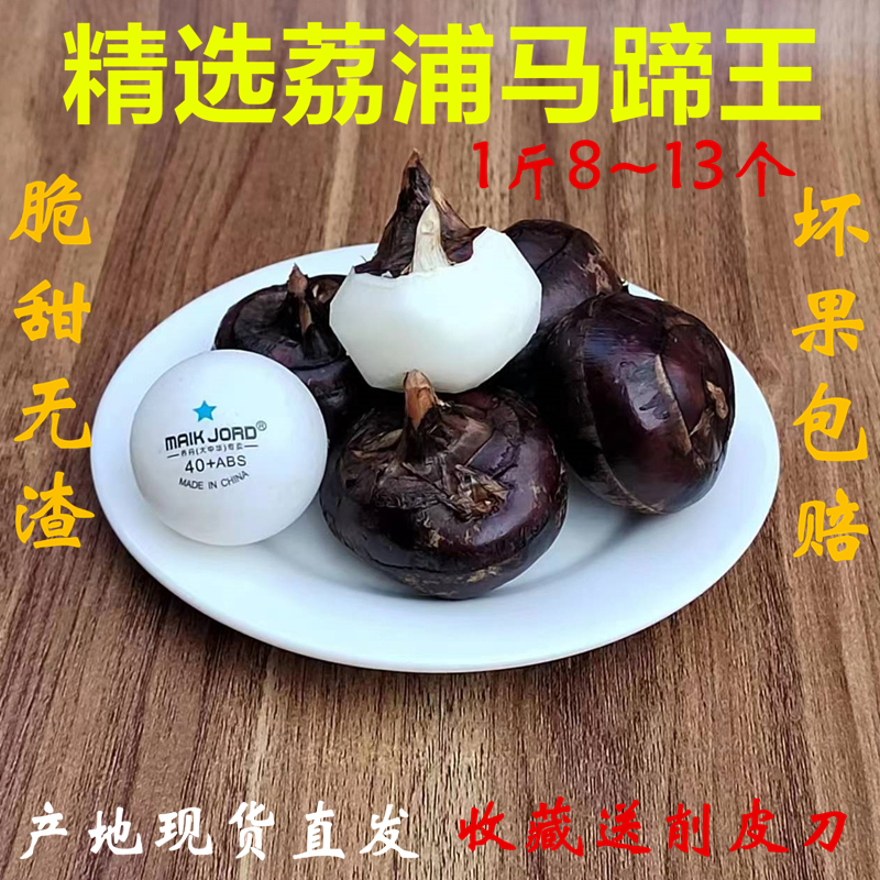 9年老店小吃时令马蹄王多汁新鲜脆甜荸荠即食水果蔬菜广西桂林产