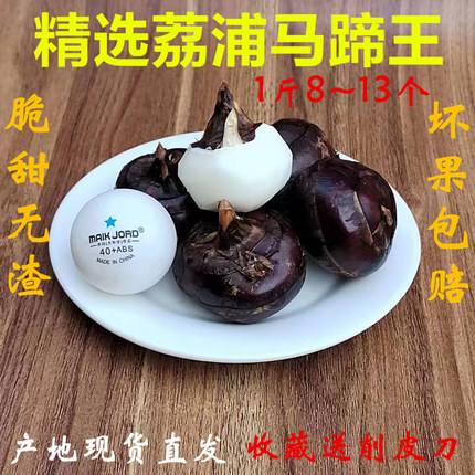 十年老店荔涌马蹄王多汁新鲜脆甜爽口荸荠即食水果蔬菜广西桂林产