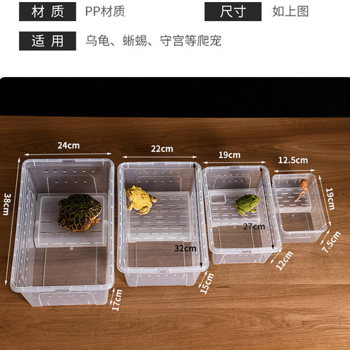 角蛙饲养盒专用两栖带晒台