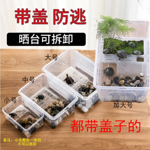 水陆两栖造景爬宠饲养盒龟缸饲养箱螃蟹饲养盒爬虫盒角蛙蝾螈守宫 - 封面