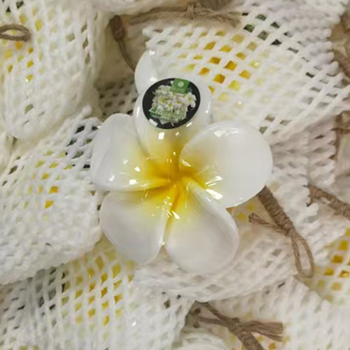泰国进口Saboo手工香皂控油洁面沐浴丝瓜去角质鸡蛋花天然精油皂