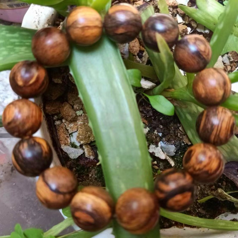 贡木手串正区奇楠沉香