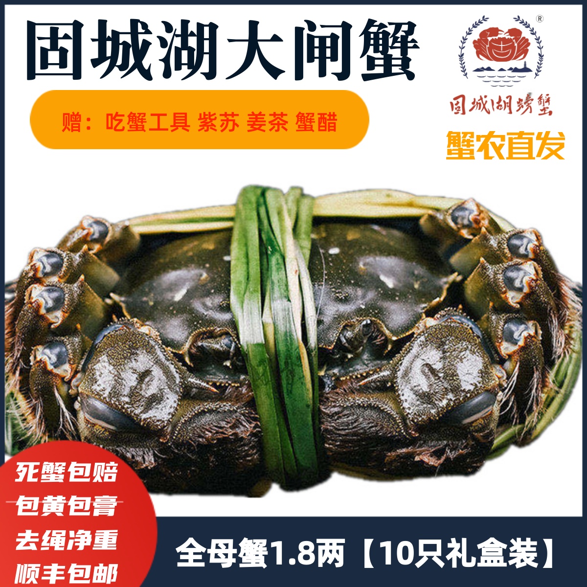 10只全母蟹1.7-1.9两去绳净重