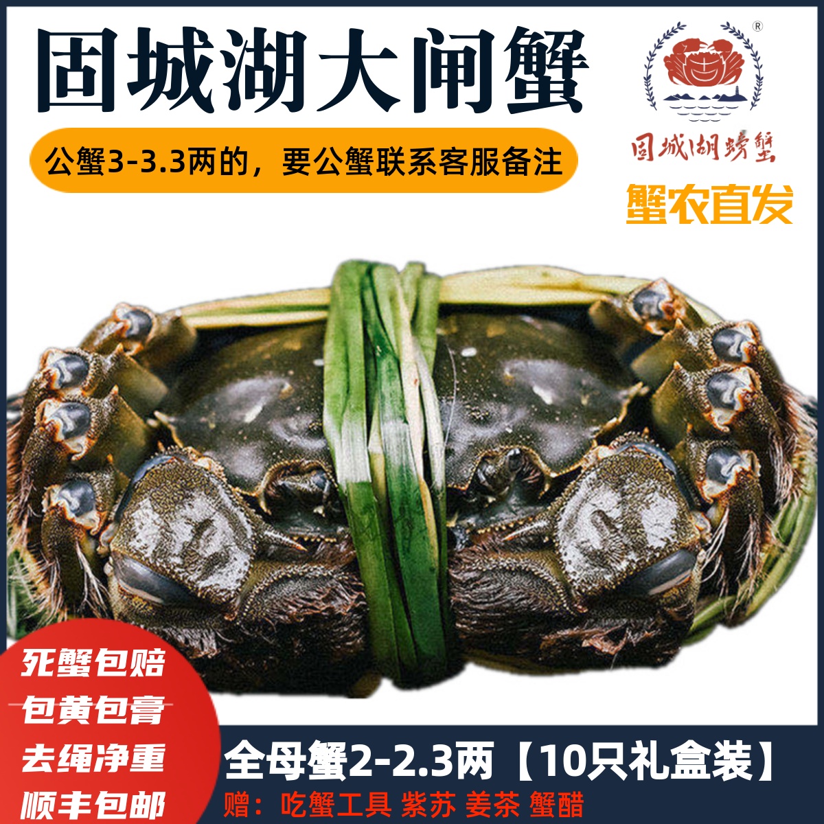 固城湖大闸蟹母螃蟹10只装现货