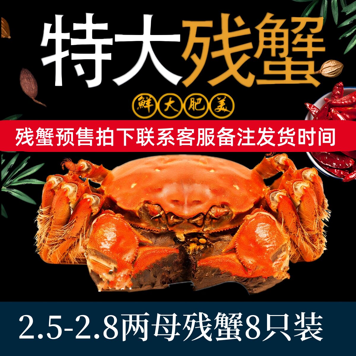 【特大母蟹8只】鲜活断脚残次蟹