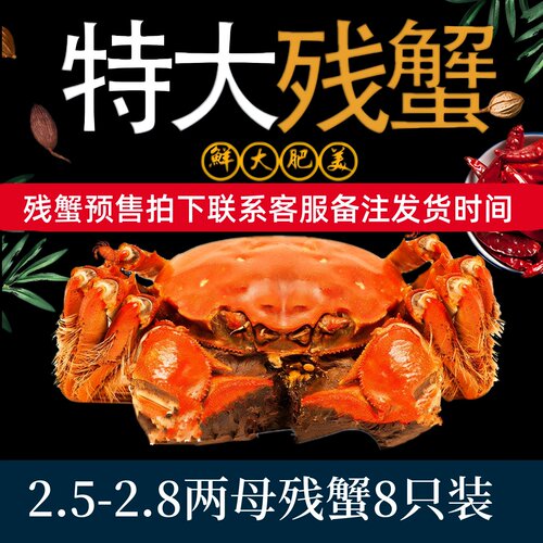 【特大母蟹8只】鲜活断脚残次蟹