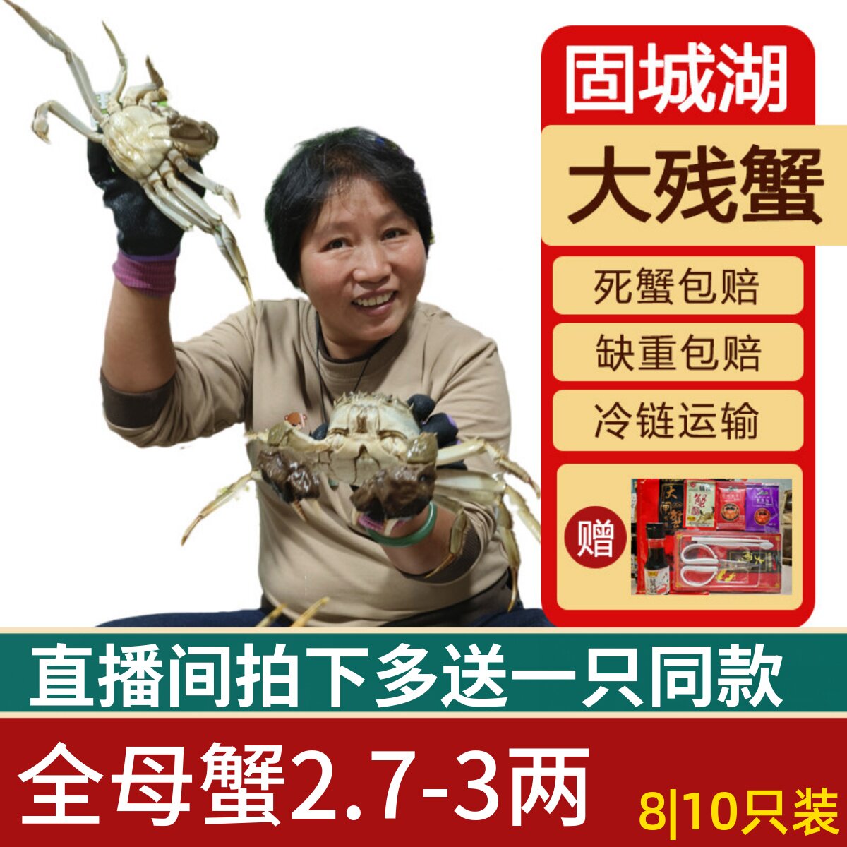 【活蟹母残蟹8/10只】固城湖大闸蟹鲜活螃蟹断脚蟹残次蟹2.7-3两