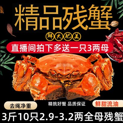 全母残蟹净重3斤10只固城湖