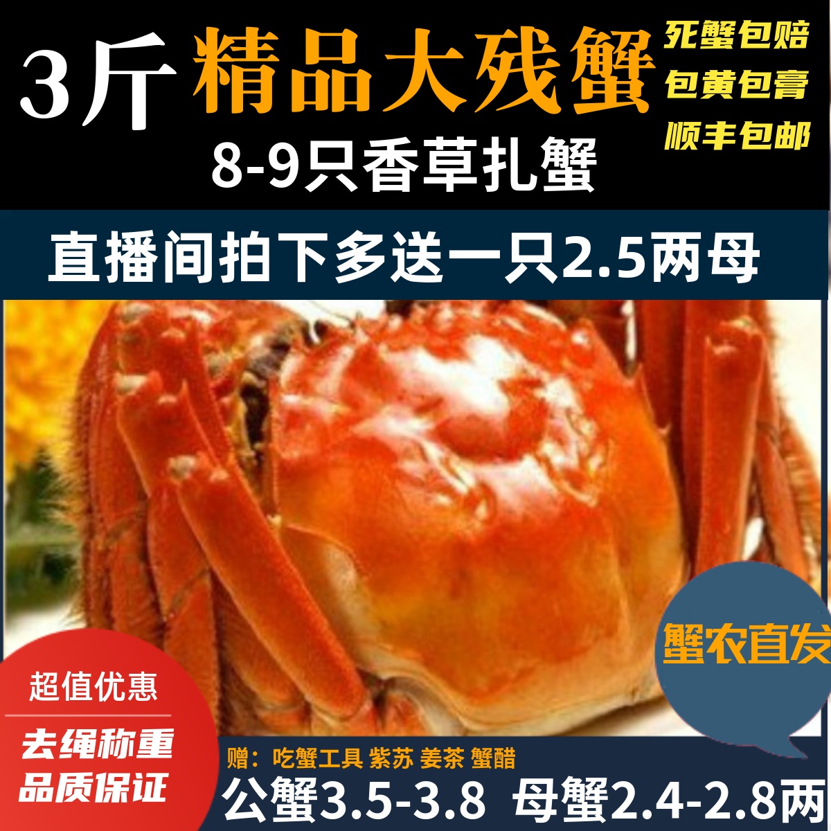 残蟹大自家养殖固城湖大闸蟹鲜活