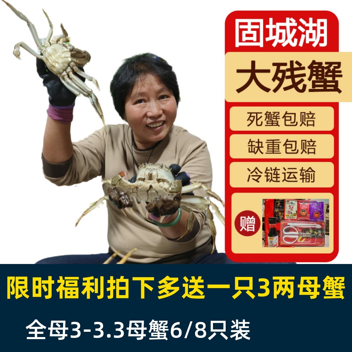 活蟹残蟹固城湖螃蟹鲜活大闸蟹残蟹缺腿蟹3-3.3两母大残蟹8/6只装,水产肉类/新鲜蔬果/熟食,大闸蟹,淘宝优惠券,粉丝福利购,淘宝优惠卷