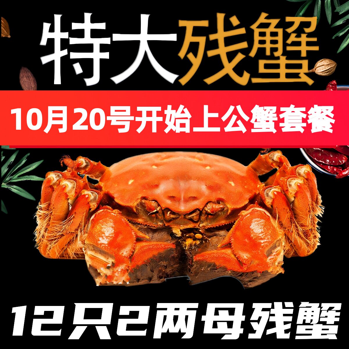 活蟹】12只2两全母残蟹固城湖大闸蟹鲜活螃蟹断脚蟹残蟹净重2.5斤