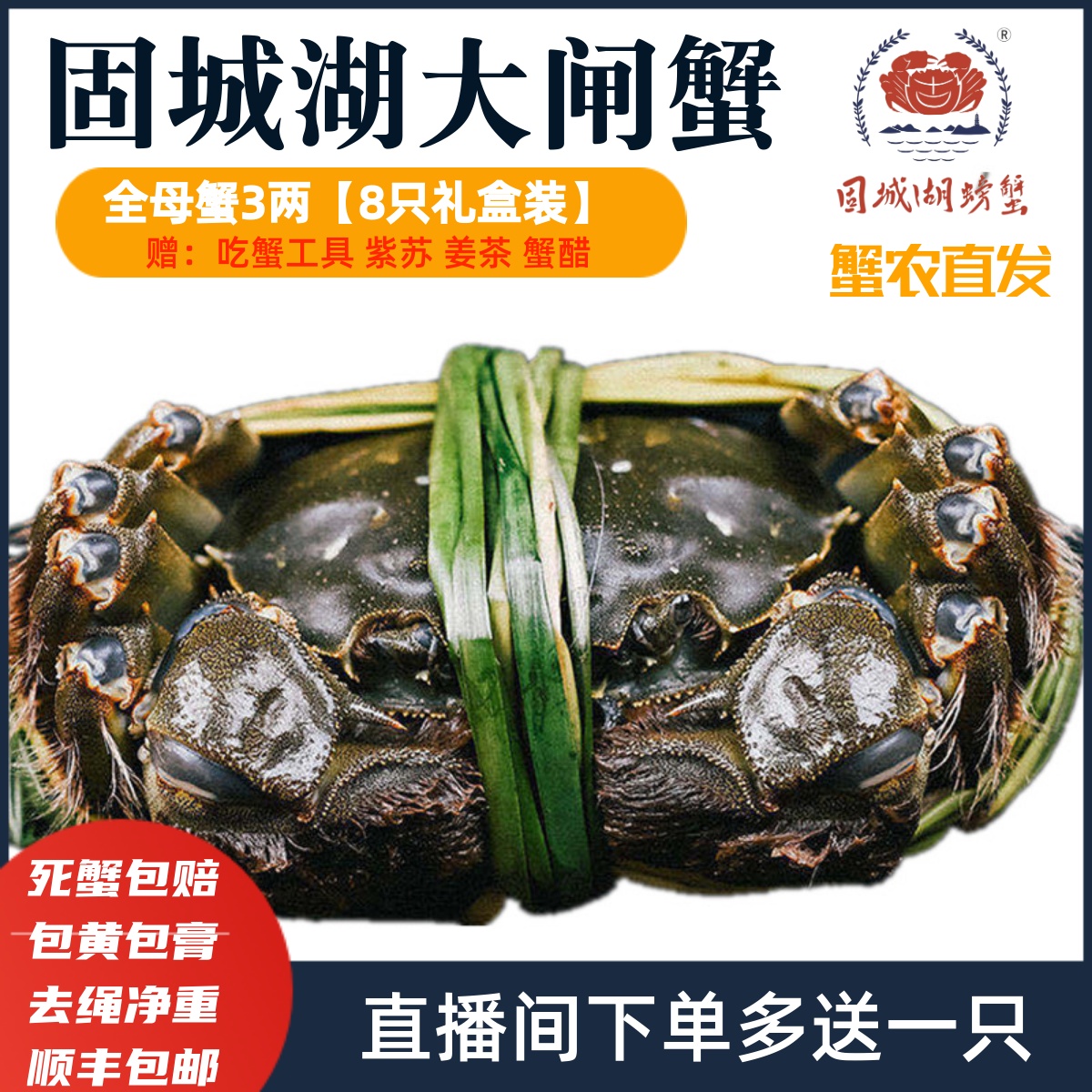 固城湖大闸蟹鲜活特大螃蟹全母
