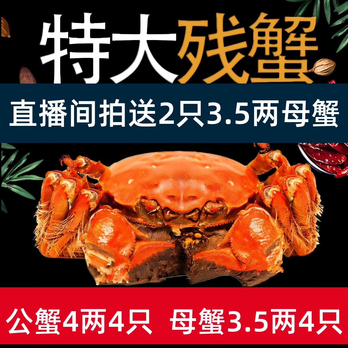 活蟹精品残蟹】裸重4两公蟹3.5两母蟹大残蟹固城湖鲜活断脚残次蟹