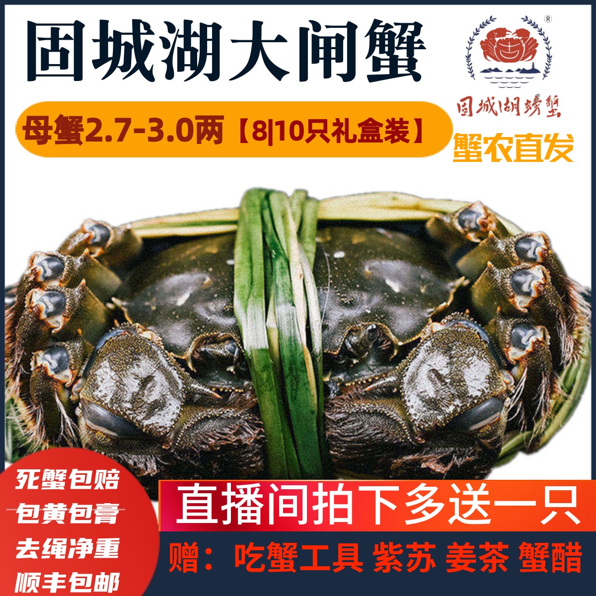 【活蟹】固城湖螃蟹全母2.7-3.0两8|10只礼盒装母蟹鲜活蟹大闸蟹