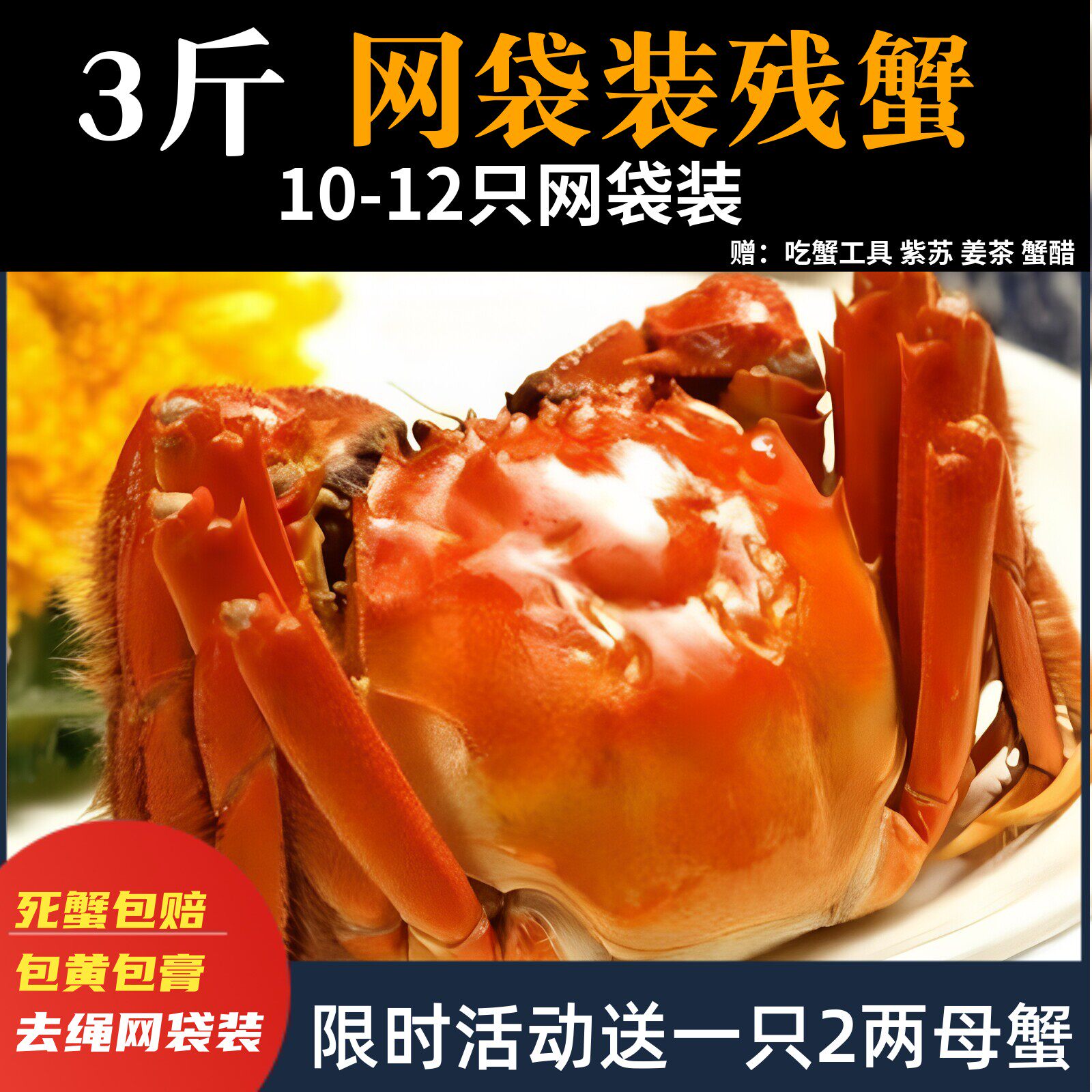 活蟹残蟹】水产鲜活断脚大闸蟹残蟹断脚蟹大只残次蟹3斤10-12只装