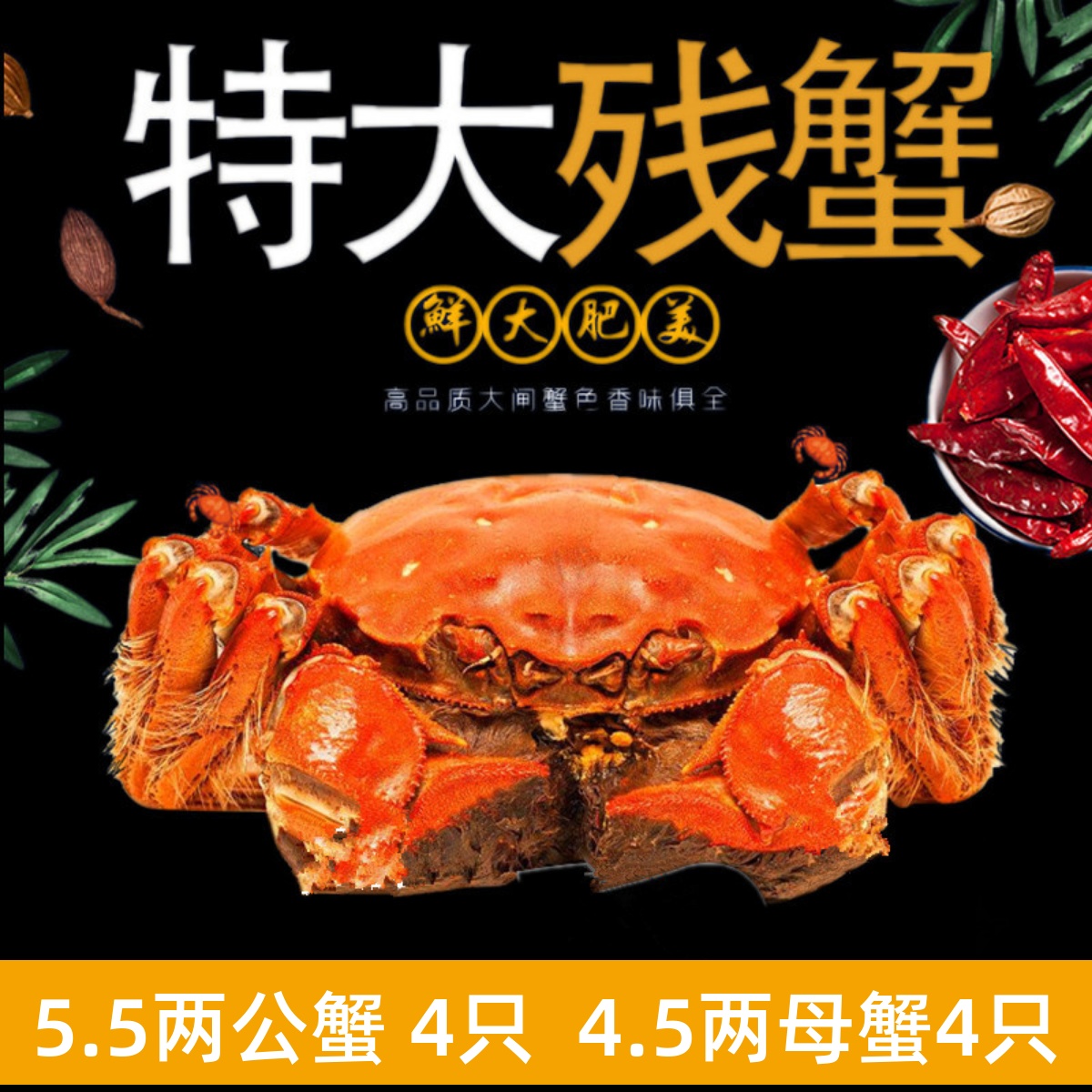 5.5两公蟹残蟹断脚蟹鲜活螃蟹