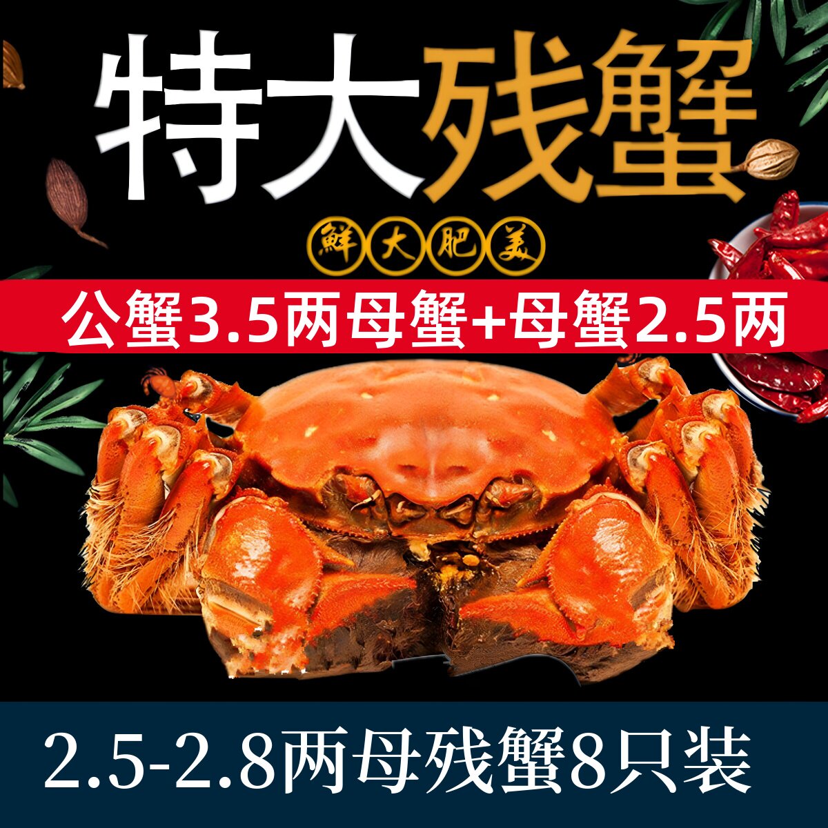 活蟹】残蟹8|10只只固城湖大闸蟹鲜活螃蟹残蟹母2.5-2.8两公3.5两