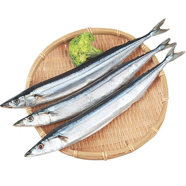 特大号烤秋刀鱼生鲜北海道秋刀鱼鲜活海鱼日韩式烧烤食材10kg