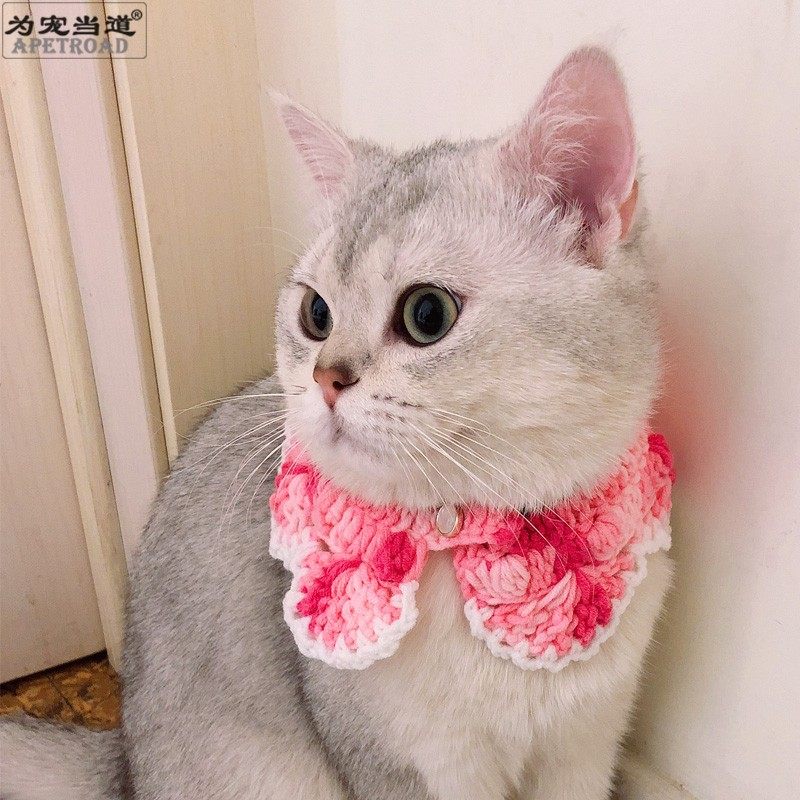 菠萝手工编织英短美短宠物饰品