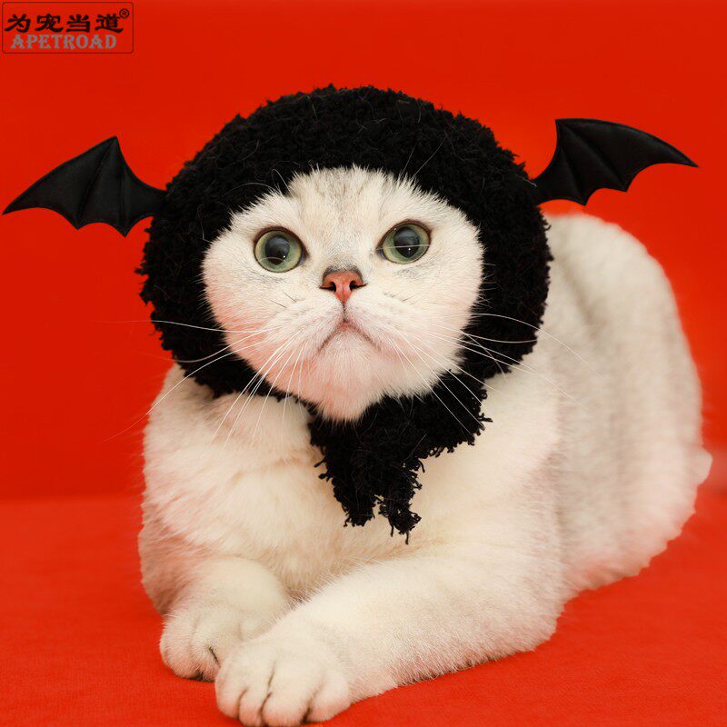 宠物猫咪狗狗搞怪万圣节手工毛线针织变装帽子蝙蝠头套莉娜熊头鉓