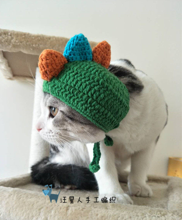 原创纯手工宠物猫咪博美变装泰迪
