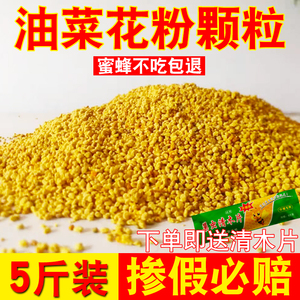 油菜花粉喂蜂养蜂专用蜜蜂饲料