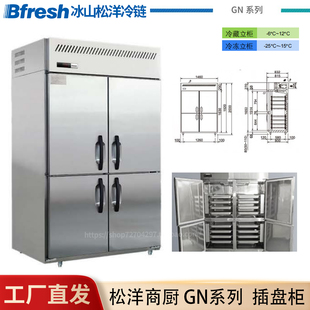 Bfresh商用冷藏冷冻柜SRR 厨房插盘冷柜冰箱GN盆 2BGN松洋立柜卧式