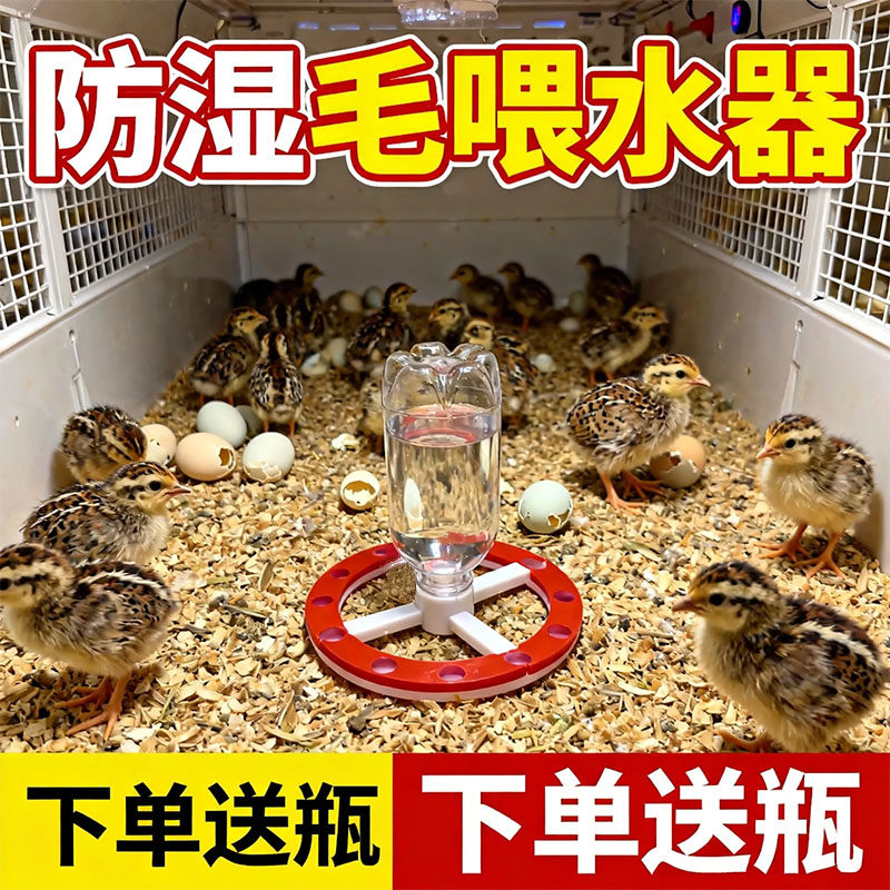 芦丁鸡防溅湿饮水器 养鸡场专用育雏喂水喂食器自补水小鸡鹌鹑用
