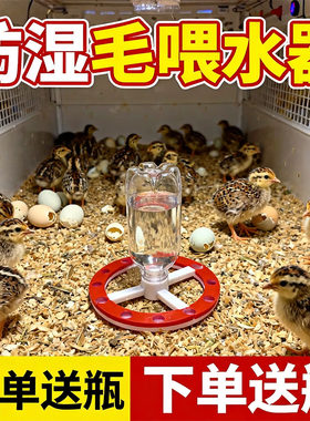 芦丁鸡防溅湿饮水器 养鸡场专用育雏喂水喂食器自补水小鸡鹌鹑用