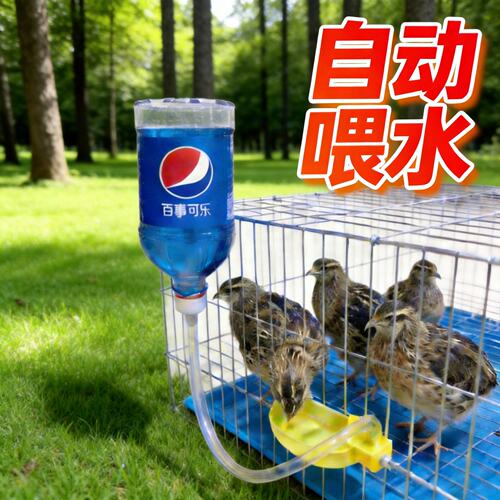 自动饮水器鹌鹑喂水器小鸟喂水碗鸽子喂水鹦鹉喂水矿泉水瓶喂水器