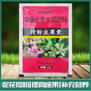 授粉坐果素 促花授粉座果精花卉蔬菜果树保花保果灵催花叶面肥料