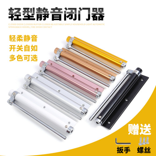 不锈钢闭门器简易家用小型自动关闭门器回位器门弹弓防风器闭合器 - 封面