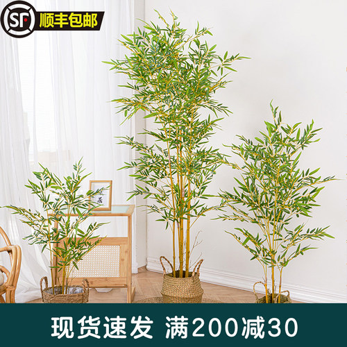仿真竹子装饰室内新中式禅意绿植
