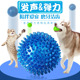 狗狗玩具带刺弹球解闷磨牙耐咬狗玩具泰迪金毛大型犬发声宠物玩具