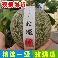 精品玫珑瓜 新鲜现摘日本引种水果口口蜜网纹蜜瓜冰激凌哈密瓜2个