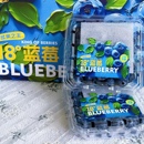 包邮 18度蓝莓鲜果 云南高山精品新水果脆甜浆果宝宝辅食大果顺丰