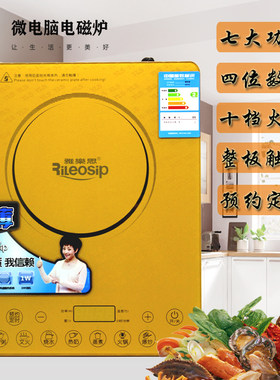 雅乐思电磁炉触摸控制送汤锅