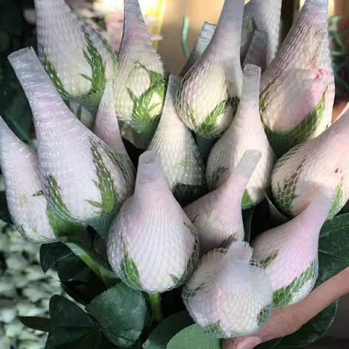 包邮鲜花网套化妆塑料百合