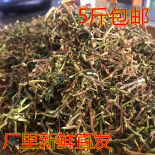 新鲜铁观音茶梗干净的茶枝装修去味甲醛/净化空气/枕芯茶梗 2500g